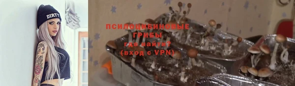 скорость Алексин