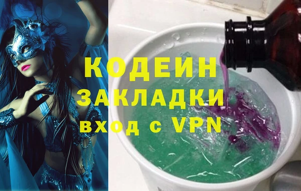 шишки Алзамай
