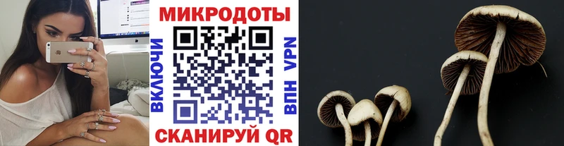 Галлюциногенные грибы Magic Shrooms  Суровикино 
