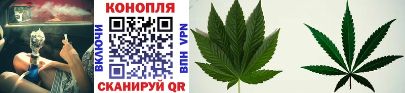 Канабис VHQ  Суровикино 